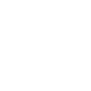 FerocitiAutomotiveConsultingicon-8